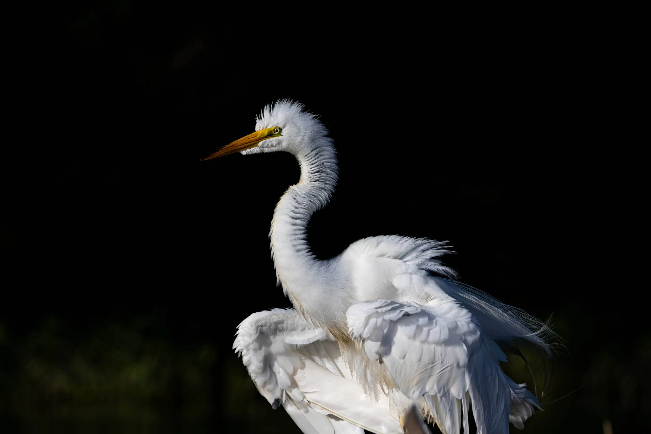 Mid-Atlantic 2024 featured cover